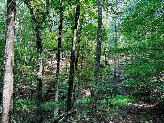 5th image of Halls Mill Rd