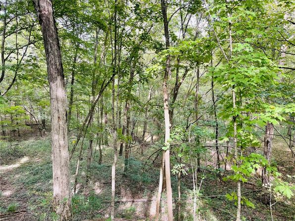 LOT W 3rd St, Saint Elmo, IL 62458