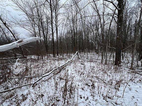 2nd image of 0 Canaday Road