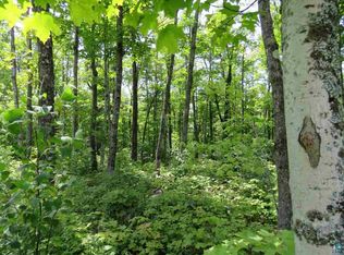 1 Blackwoods Dr, Finland, MN