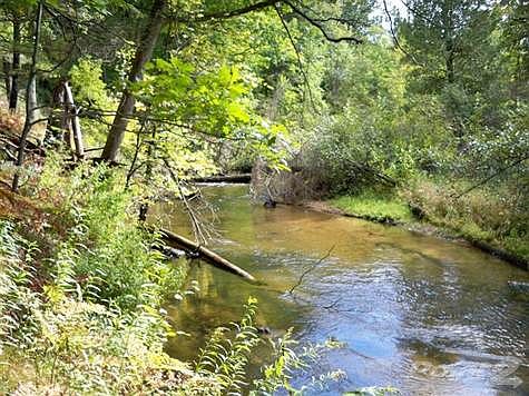 4th image of 7477 Little Manistee River Dr