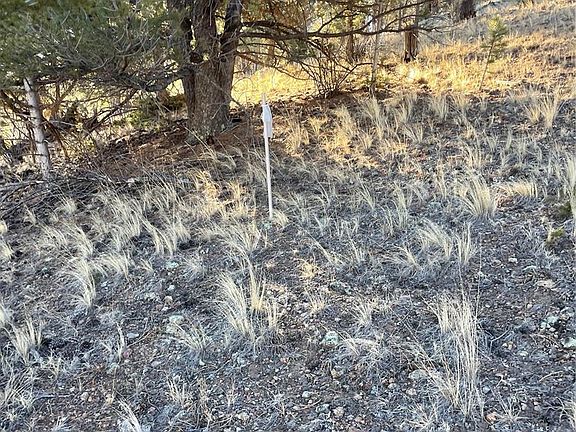 5th image of 00 Tarryall Road LOT 21