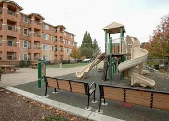 88 N Jackson Ave #203 — Photo 5