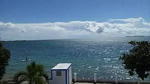 Morning at seaside yard