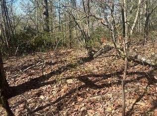 LOT 164 Bluff Ln, Wilder, TN 38589