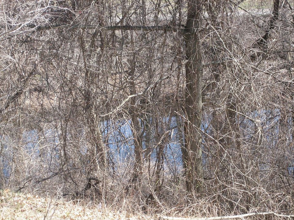 2nd image of 3939 Bauer Rd