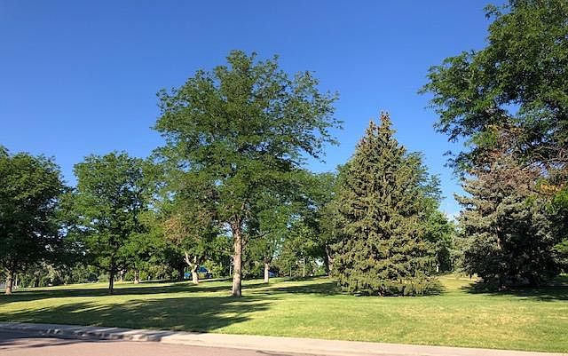 view from font porch west towards Chaffee Park