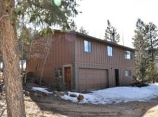 80 Fir Ln, Bailey, CO 80421