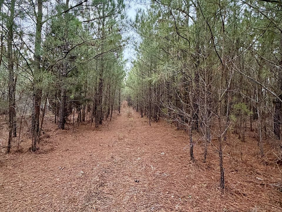 40th image of 1 Roan Creek Rd