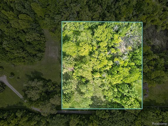 2nd image of 9 Mile Rd