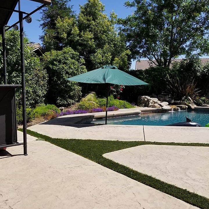 No maintenance grass