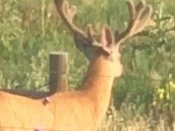 3rd image of TBD S. Blaney Road