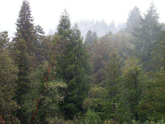 View 1
