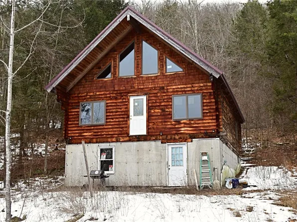 169 Tae Kwon Rd, North Blenheim, NY 12131