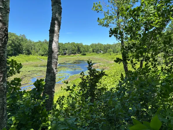 Fawn Trl NE, Longville, MN 56655