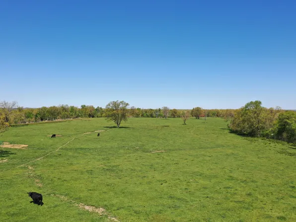 3421 State Hwy 5, Mansfield, MO 65704