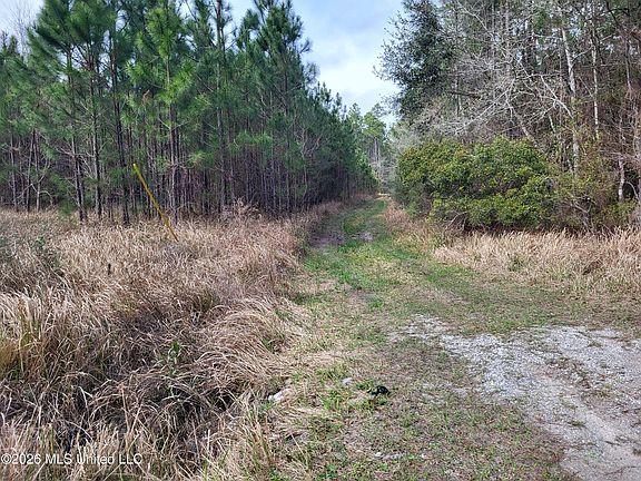 2nd image of 0 Jones Rd