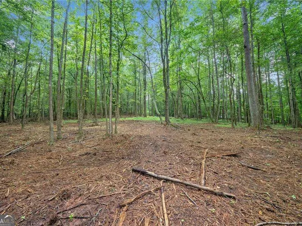 14880 Freemanville Rd, Milton, GA 30004