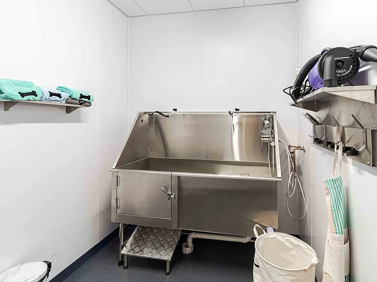 Pet Spa