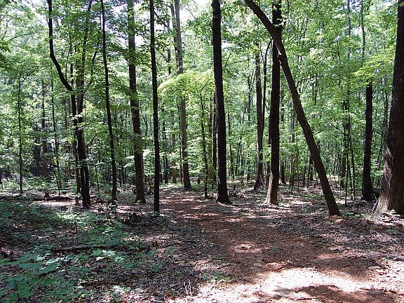 2nd image of Lot 485 Peartree Lane