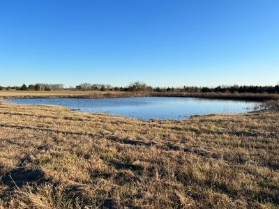 14070 Fm 905, Pattonville, TX, 75468