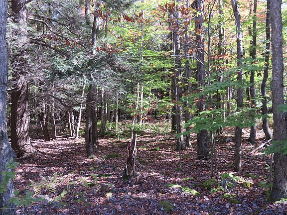 4th image of 1489 Lehigh River Dr S #K
