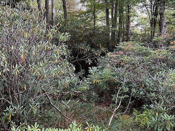2nd image of Delaware Dr #C283-284