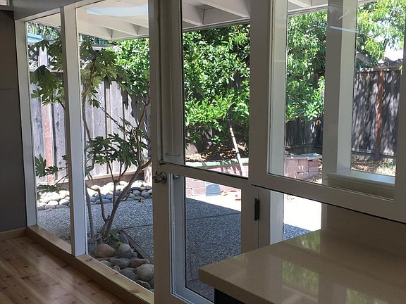View of backyard from kitchen