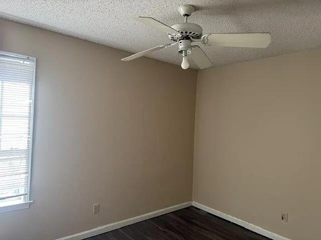125 Chestnut Dr — Photo 8