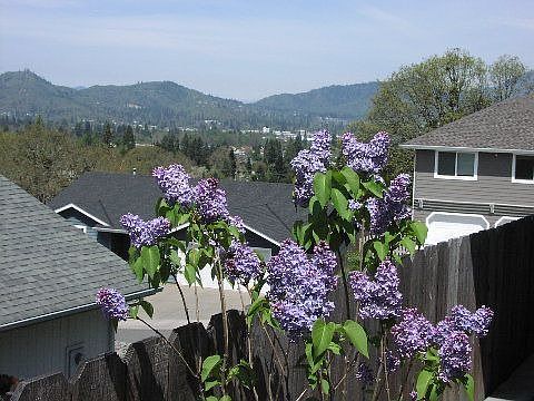 View from side yard