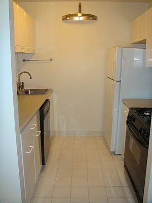 Rented by Furumoto Realty of New York City Inc | media 19