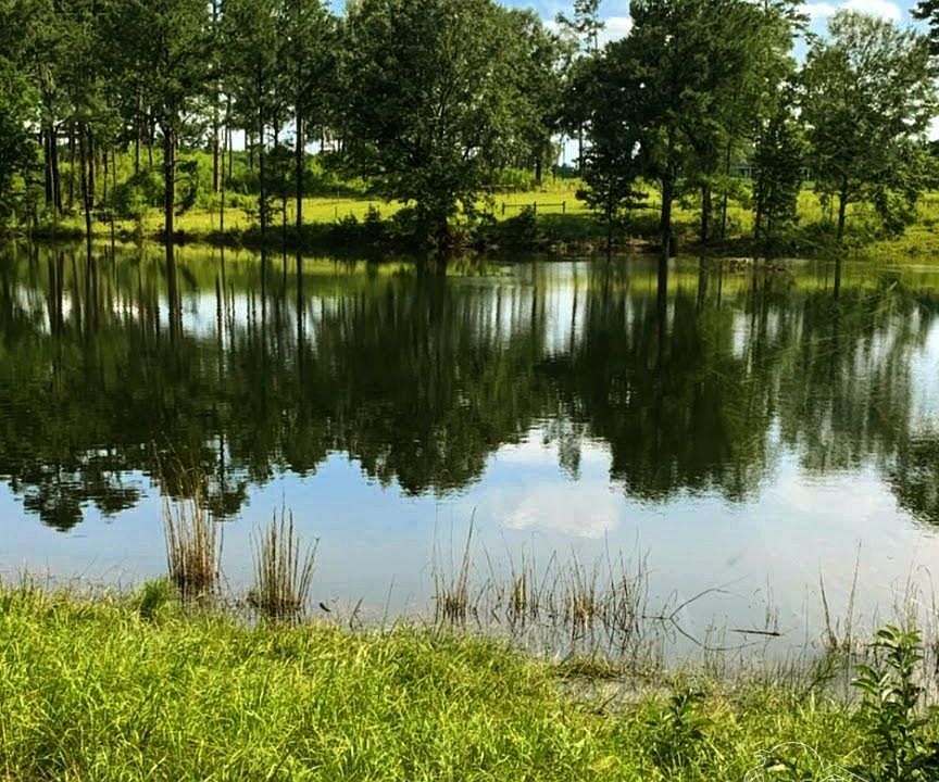 1st image of 9023 County Road 34