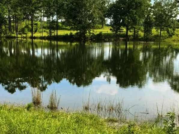 9023 County Road 34, Millry, AL 36558