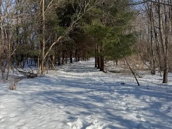 Warner Rd, Laingsburg, MI 48848