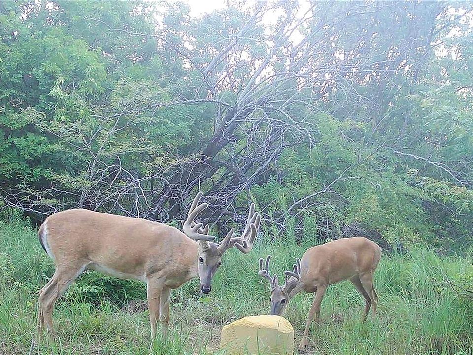 1st image of 1673 17th Rd