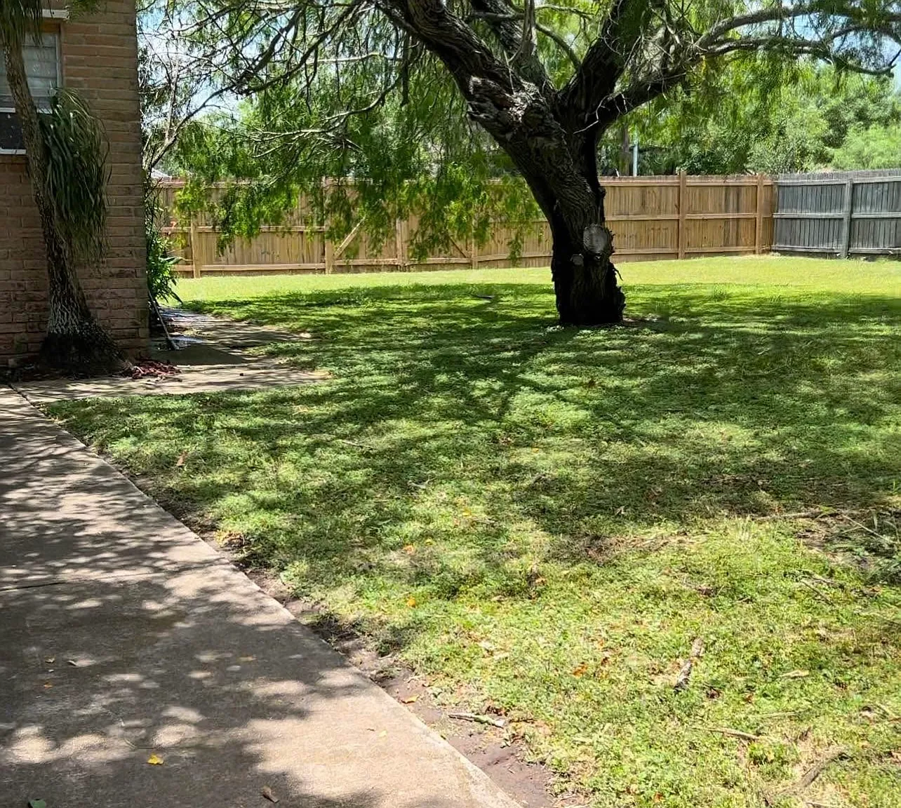 Studio, 450 sqft, $1,200 — Photo 3
