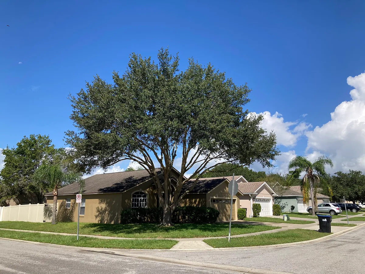 Side view of corner lot - 2302 Northern Leaf St