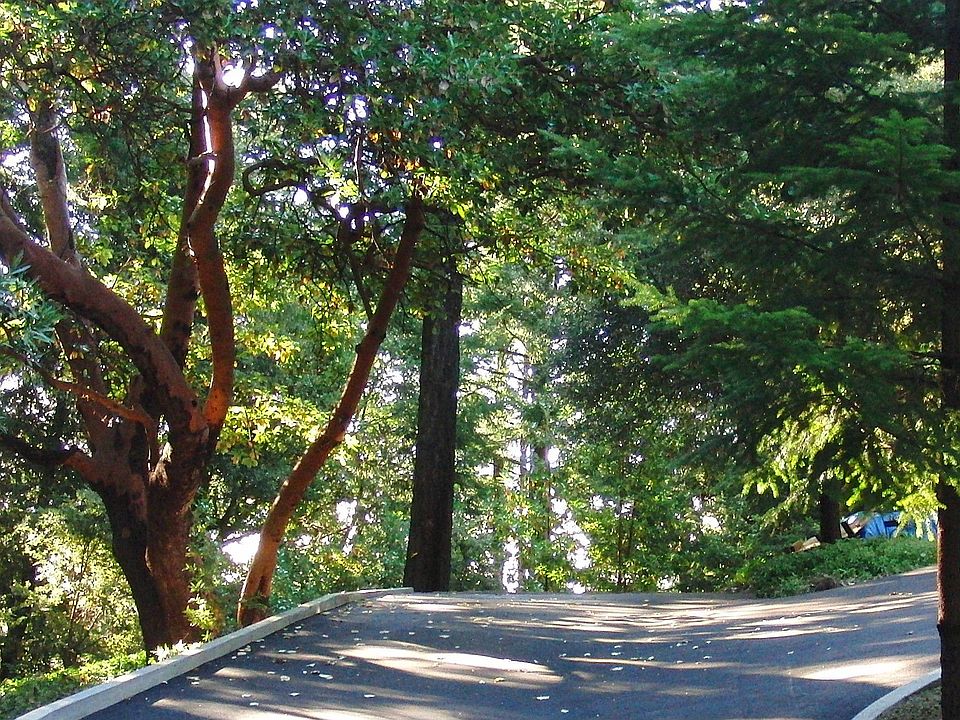 New driveway has RV parking