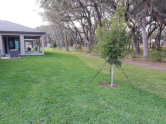 Located on 0135 in Arbor Park in Riverview, FL