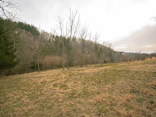 LOT 8 Boyd Rd, Draper, VA 24324