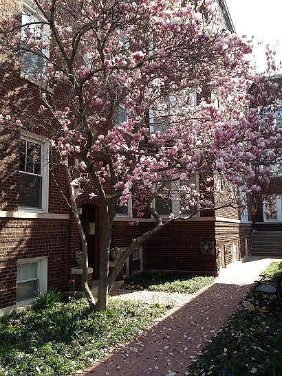 1st image of 3355 N Clifton Ave #2