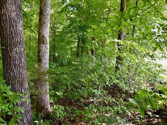 2nd image of 6 Sims Rd Lot 6