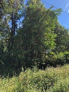 3rd image of Uilani Dr Lot 9