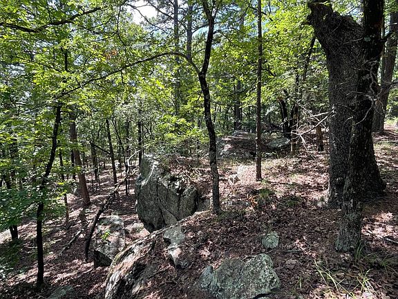 2nd image of 217B Birdsong Ridge Rd