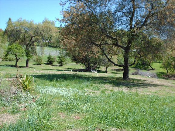 4th image of 2215 Spanish Corral Ln