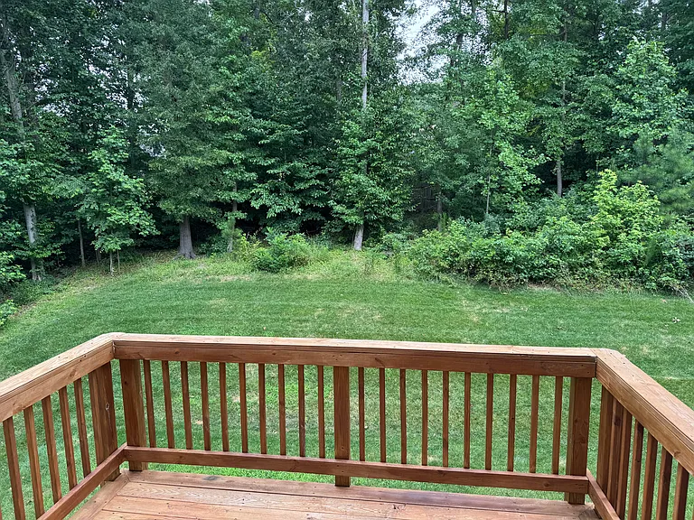 View from Rear Deck