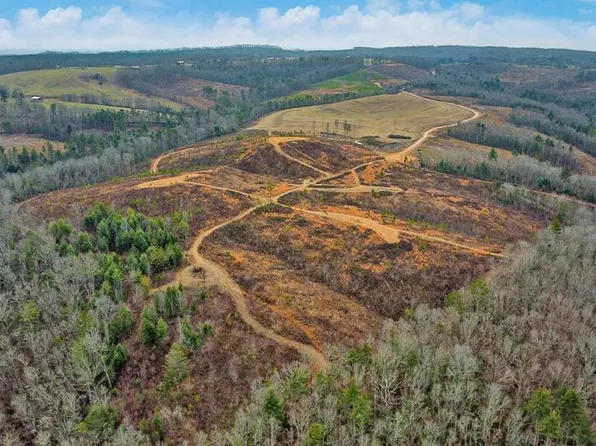 0 Possum Trot Rd Tract 13, Grandview, TN 37337