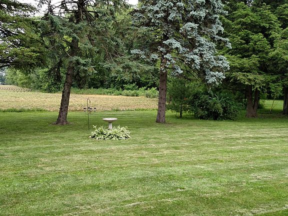 Beautiful Backyard!