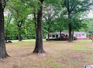 315 Jennings Rd, Lamar, SC 29069