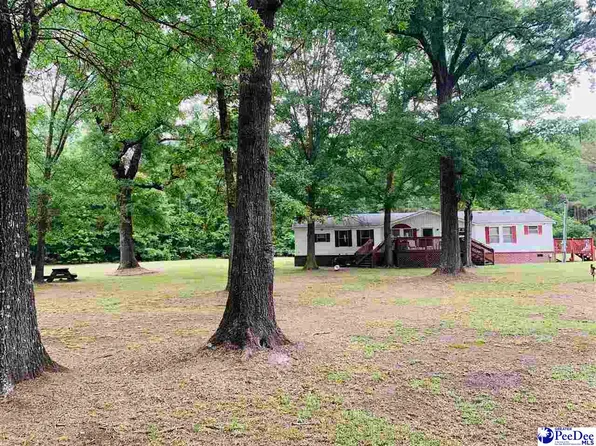 315 Jennings Rd, Lamar, SC 29069